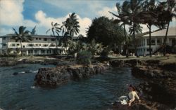 Naniloa Hotel, Hilo, Island of Hawaii Postcard Postcard Postcard