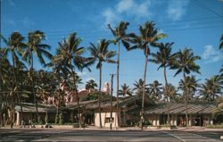 McInerny, Waikiki, on the grounds of the Royal Hawaiian Hotel Postcard Postcard Postcard