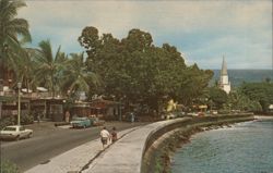 World Famous Alii Drive Postcard