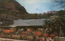 Waioli Tea Room, Manoa Valley, Honolulu Postcard