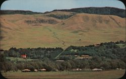 Waimea, Hawaii Parker Ranch Country Scenic Landscape View Postcard Postcard Postcard