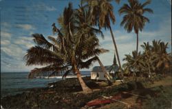 St. Peter's Church, Kona Coastline, Big Island, Hawaii Postcard