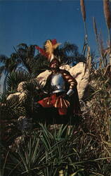 Conquistador in 16th Century Battle Dress at DeSoto Festival, Manatee County, FL Florida Postcard Postcard Postcard