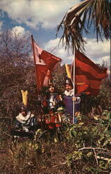 DeSoto and Conquistadors Reenactment, Manatee County, FL Postcard