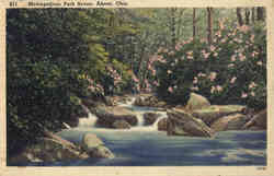 Metropolitan Park Scene Postcard