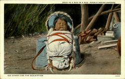 Snug As A bug In A Rug Native Americana Postcard Postcard