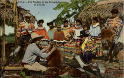 Fur Trading in the Evergladers Postcard