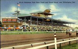 Delaware Park Race Postcard