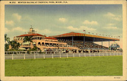 Winter Racing, Tropical Park Postcard