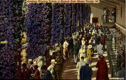 Cshing Wining Tickets, Hialeah Park Postcard