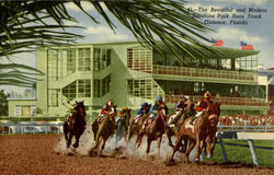 The Beautiful and Modern, Sunshine Park Race Postcard