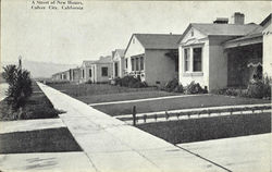 A Street of New Homes Culver City, CA Postcard Postcard