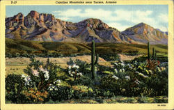 Catalina Mountain Postcard