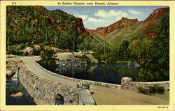 In Sabinc Canyon Tucson, AZ Postcard Postcard