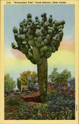 Pipe Organ Cactus Postcard