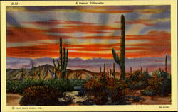 Desert Flora Postcard