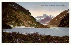 Scene on Stikine River Postcard