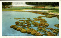 Sapphire Pool And Biscut Basin, Yellowstone Park Yellowstone National Park Postcard Postcard