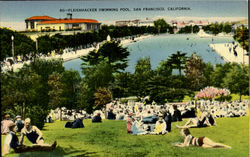 Fleishhacker swimming pool San Francisco, CA Postcard Postcard