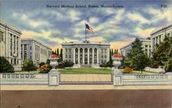 Harvard Medical School Boston, MA Postcard Postcard