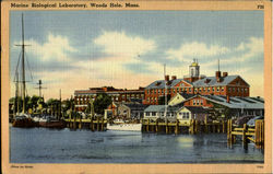 Marine Biological Laboratory Woods Hole, MA Postcard Postcard