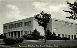 Gymnasium, Effingham High School Postcard