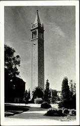 Campanile University Of California Postcard