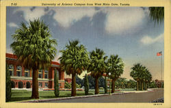 University Of Arizona Campus Tucson, AZ Postcard Postcard