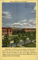 University of Arizona Tucson, AZ Postcard Postcard