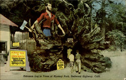 Entrance Log To Trees Of Mystery Park Redwood Highway, CA Postcard Postcard