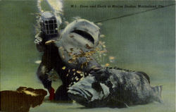 Diver and Shark at Marine Studios Postcard