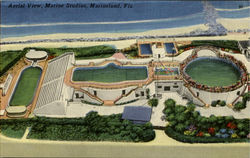 Aerial View , Marine Studios Postcard