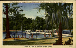 Wakulla Springs Lodge Scene in Front of Wakulla Springs Lodge Florida Postcard Postcard