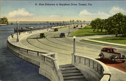 East Entrance to Bayshore Drive Tampa, FL Postcard Postcard