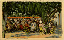 Paying Bridge Under Banyan And Palm Trees The Sunshine City" Postcard