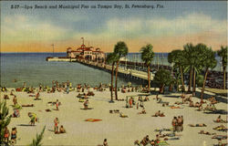 Spa Beach and Municipal Pier, Tampa Bay St. Petersburg, FL Postcard Postcard