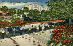 The Coliseum From The Shufflboard Courts Postcard