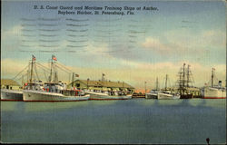 Coast Guard and Maritime Training Ships, Bayboro Harbor St. Petersburg, FL Postcard Postcard