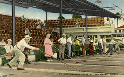 Shuffleboard Court St. Petersburg, FL Postcard Postcard