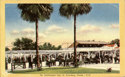 The Shuffeboard Club St. Petersburg, FL Postcard Postcard