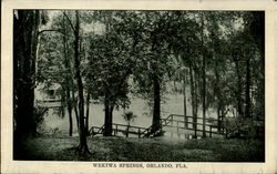 Wekiwa Springs Orlando, FL Postcard Postcard