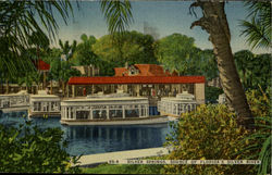 Silver Springs, Source Of Florida'S Silver River Postcard