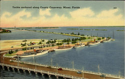 Yachts anchored along County Causeway Postcard