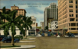 Flagla Street From Biscayne Boulevard Postcard