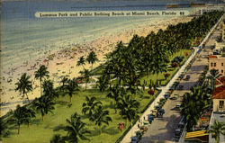 Lummus Park and Public Bathing Beach at Miami Beach Postcard