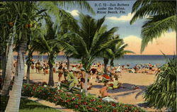 Sun Bathers Under the Palms Postcard