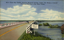 Torch Key Viaduct Showing Mangrove Growth called The Mother of Islands, Overseas Highway to Key West Scenic, FL Postcard Postcard