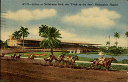 Action at Gulfstram Park the Track by the sea Hallandale, FL Postcard Postcard