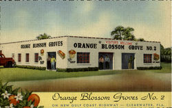 Orange Blossom Groves No.2 Fruit Stand Postcard