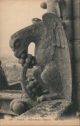 Notre-Dame Chimera, Paris Postcard